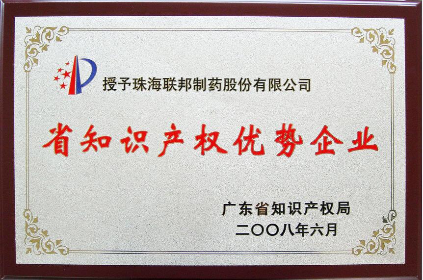 廣東省知識(shí)產(chǎn)權(quán)優(yōu)勢(shì)企業(yè)