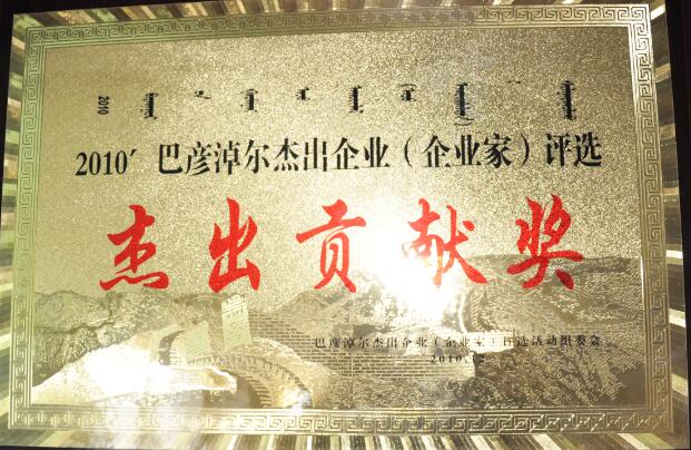 杰出貢獻(xiàn)獎(jiǎng)